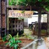 Отель The Lazy Dog Bed & Breakfast на острове Боракае