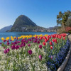 Отель Casa Basilico in Lugano, фото 22