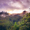 Отель Paradise Wild Hills, фото 18