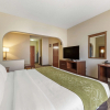 Отель Comfort Suites Castle Rock, фото 6