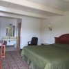Отель Palamar Motel, фото 4
