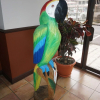 Отель el Tucan Alajuela, фото 35