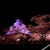 Отель Oyado Higashiyama, фото 3