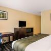 Отель Quality Inn & Suites, фото 24