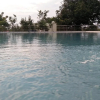 Отель Chitrakoot Garden And Resorts Pushkar, фото 16