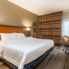 Отель Hampton Inn - Cedar Rapids, фото 3
