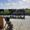 Отель Prive Jacuzzi, Cows, Dairyfarm, Relaxing, Sleeping, фото 8