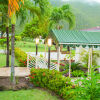 Отель Mount Nevis Hotel, фото 1