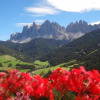 Отель Ritzhof, фото 9