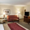 Отель Comfort Inn & Suites, фото 2