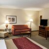 Отель Comfort Inn & Suites, фото 4
