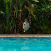 Отель Villa Las Margaritas Sucursal Caxa, фото 16