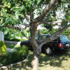 Отель Ivan - With Garden - A1 Plavi, фото 9