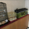 Отель Okinawa Hotel Continental, фото 20