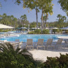 Отель Saddlebrook Golf Resort & Spa Tampa North - Wesley Chapel, фото 13