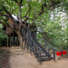 Отель Pugdundee Safaris- Tree House Hideaway, фото 17