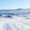 Отель Torsetlia Fjellstue og Hyttegrend, фото 26