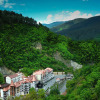 Отель Crowne Plaza Borjomi, IHG Hotel, фото 32