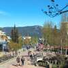 Отель Whistler Blackcomb VR at Tyndall Stone, фото 1