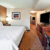 Отель Holiday Inn Hotel & Suites Durango Downtown, an IHG Hotel, фото 3