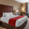 Отель Comfort Inn & Suites, фото 25