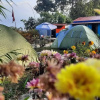 Отель Moonlight Homestay And Camping Site, фото 18