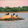 Отель Chaminuka Lodge and Nature Reserve, фото 24
