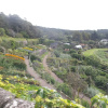 Отель Broomview Cottage Bed & Breakfast, фото 8