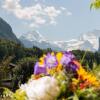 Отель Jungfrau Hotel Annex Alpine Inn, фото 23