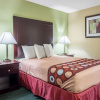 Отель Econo Lodge, фото 3