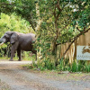 Отель Makakatana Bay Lodge, фото 36