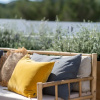 Отель The Olive Boutique Suites and Spa, фото 14