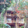 Отель Jungle Jive Treehouse, фото 1