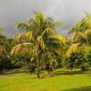 Отель Hacienda de los Suenos, фото 18