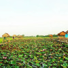 Отель Hai Lua Homestay (Lotus Lake Homestay), фото 13