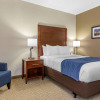 Отель Comfort Inn Near Greenfield Village, фото 26