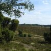 Отель Cozy Holiday Home in Wietzendorf near Forest, фото 8