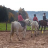 Отель Equi'val, фото 15