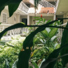 Отель Yhavarees Comfy Oasis 2-bed Aprt- Central & Secure, фото 18