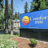 Отель Comfort Inn Lacey - Olympia, фото 18