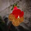 Отель El Descanso, фото 8