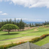 Отель Kapalua Golf Villa 11t4 Gold Ocean View, фото 1