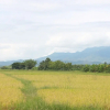 Отель Siam Lanna Homestay, фото 33