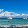 Отель Anna Maria Beach Serenity, фото 28