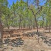 Отель Outer Banks Island Cottage - 1 Mi to Frisco Beach!, фото 18