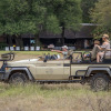 Отель Mohlabetsi Safari Lodge, фото 18