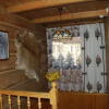 Отель Górolik-Dom Drewniany, фото 12