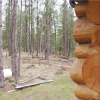 Отель Trails End Lodge, фото 13