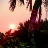 Отель Wailana Beach Lodge, фото 25