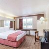 Отель Microtel Inn & Suites by Wyndham Wilson в Уилсоне